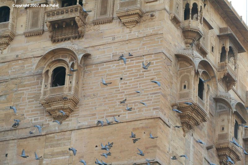 jaisalmer0023.JPG