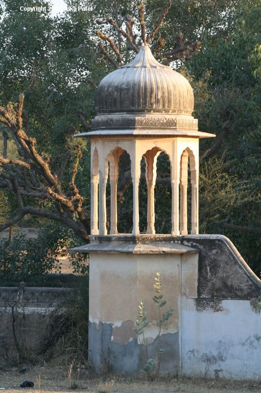 laxmangarh0101.JPG