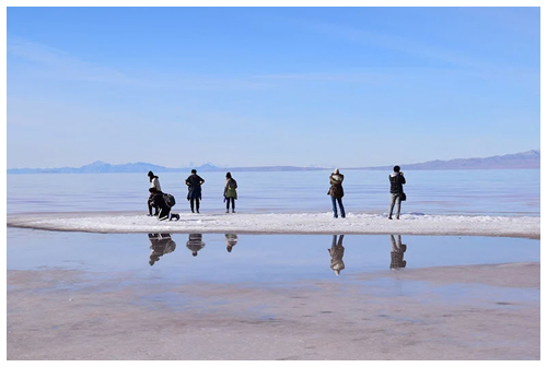 Funded by donor support, art history professor James Nisbet led 25 students on a 1,900-mile desert-art field trip across three states.